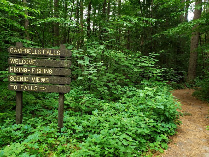 Finding the Trailhead Without Getting Turned Around