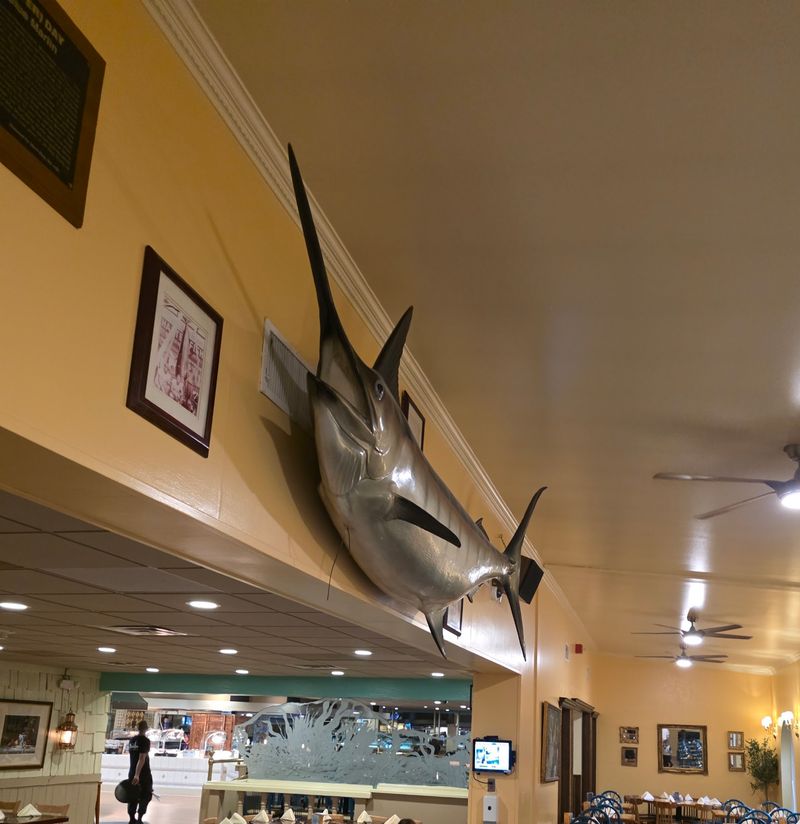 Fish Tanks, Family Photos and a Big Room Fish Tanks, Family Photos and a Big Room