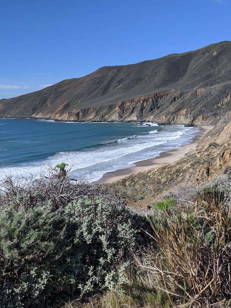 Fishing, Seals, And Quiet Coves