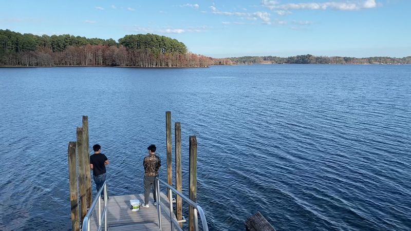Fishing Straight From the Shore