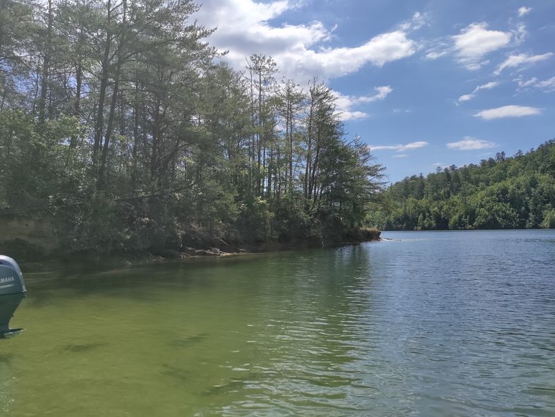 Fishing for Trout and More