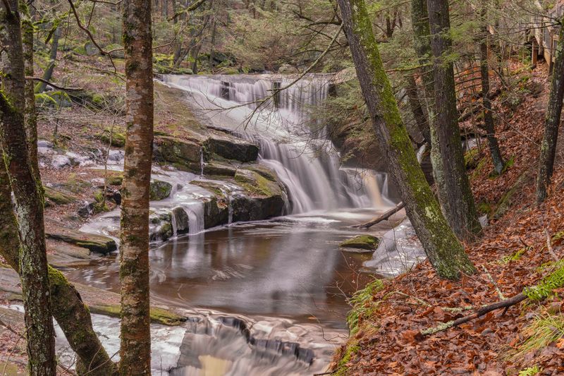 Five Falls Strung Along Enders Brook
