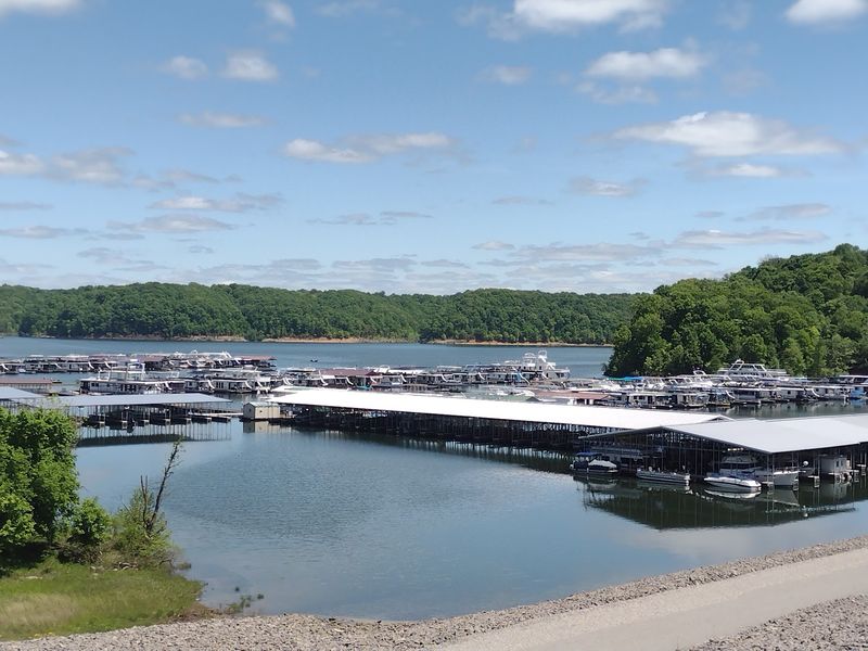 Floating Cabins For A Different Kind Of Stay Floating Cabins For A Different Kind Of Stay