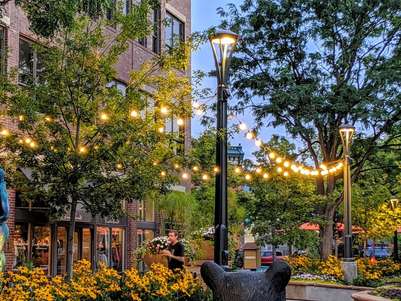 Flower Beds, Fireside Chats And Holiday Lights