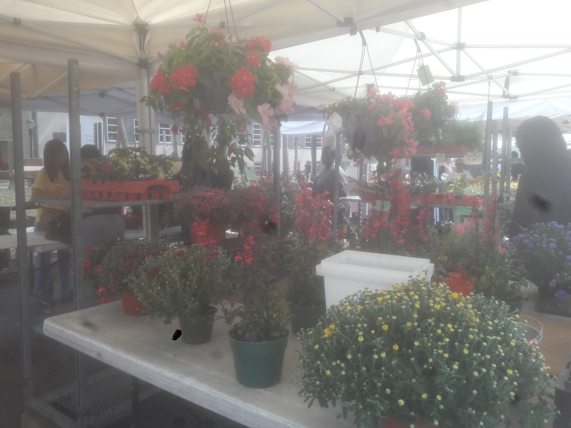 Flowers, Honey And Other Small-Batch Finds Flowers, Honey And Other Small-Batch Finds