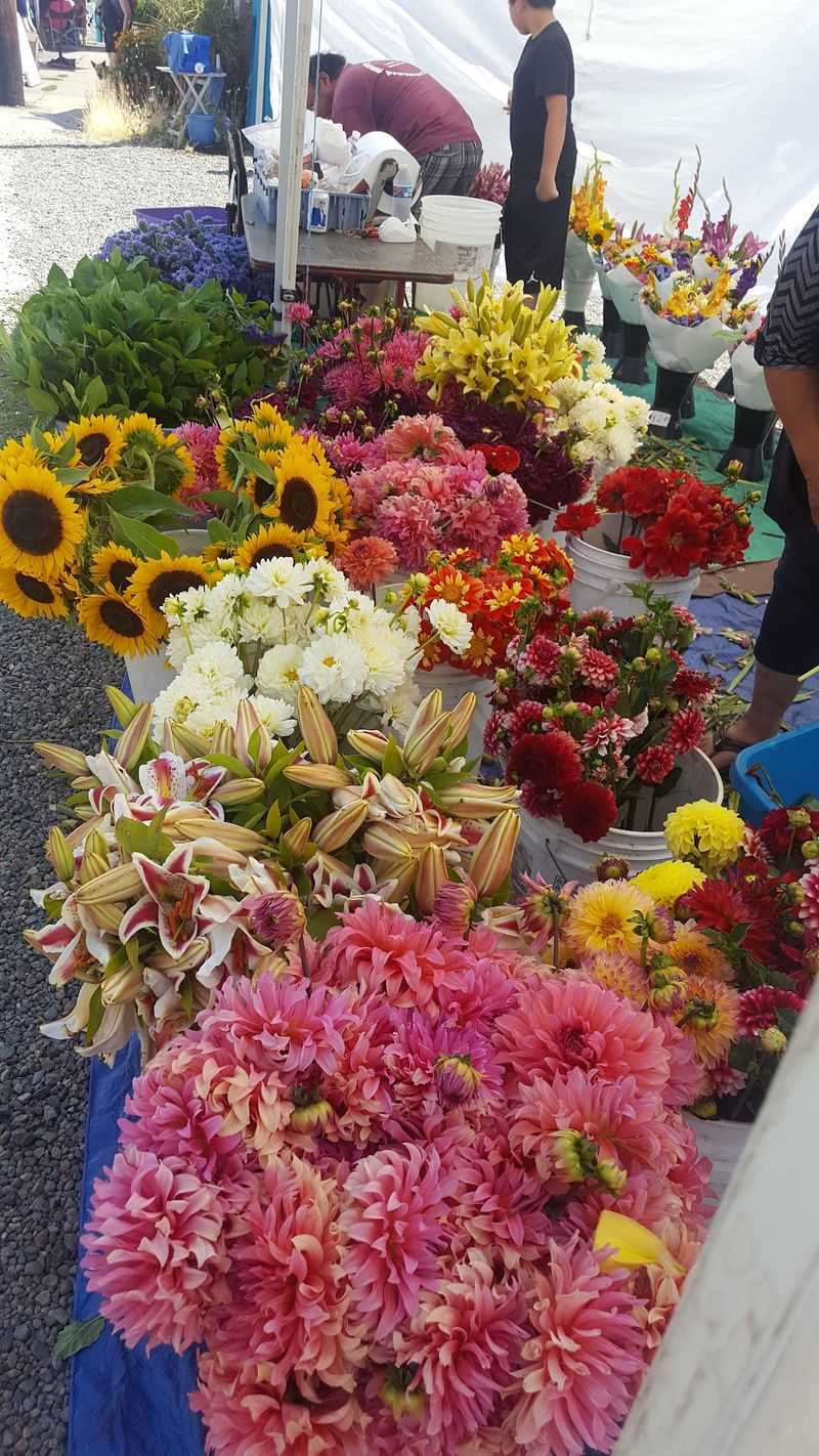 Flowers and Bouquets That Brighten the Lot