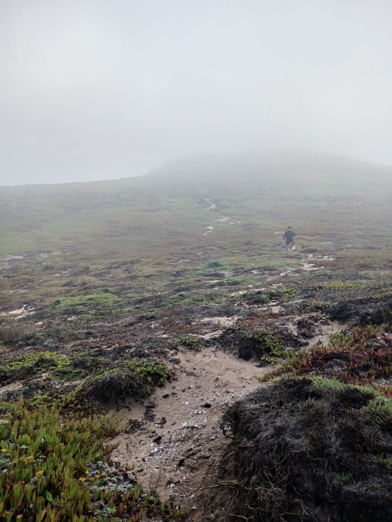 Fog, Wind, And The Weather Roll