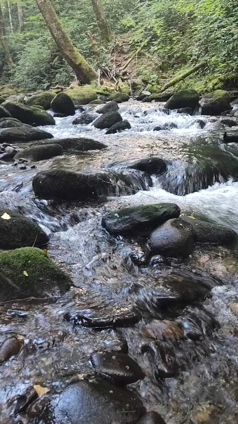 Following The Little River The Whole Way