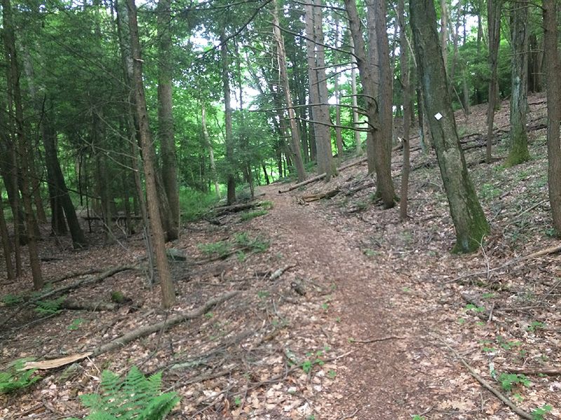 Following The Markers So You Do Not Wander
