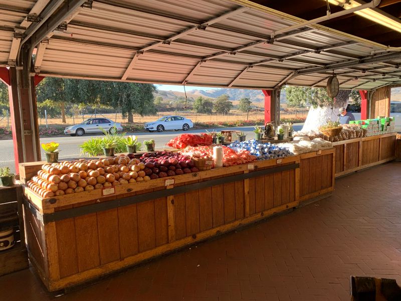 Food, Fuel and Timing Tips for a Smooth Stop