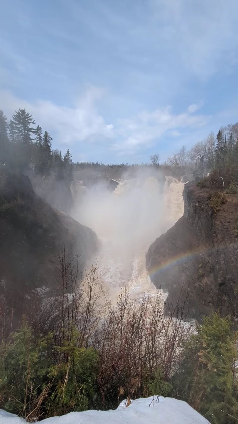 Forest, Gorge, and the Scenery Around It