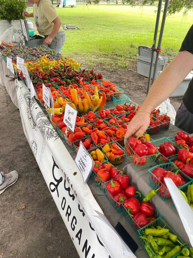 Forsyth Farmers Market Downtown, Savannah, Georgia Forsyth Farmers Market Downtown, Savannah, Georgia