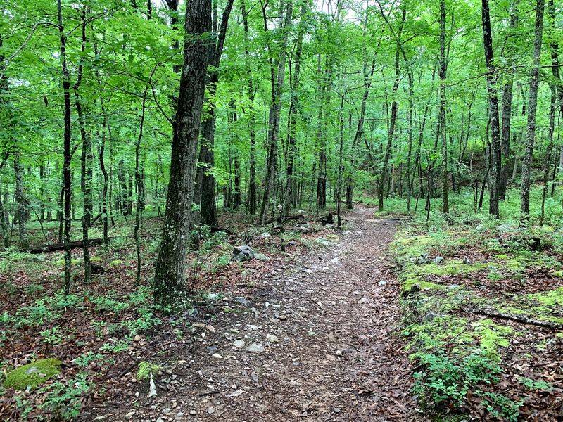 Forty-Three Miles Of Trails To Wander