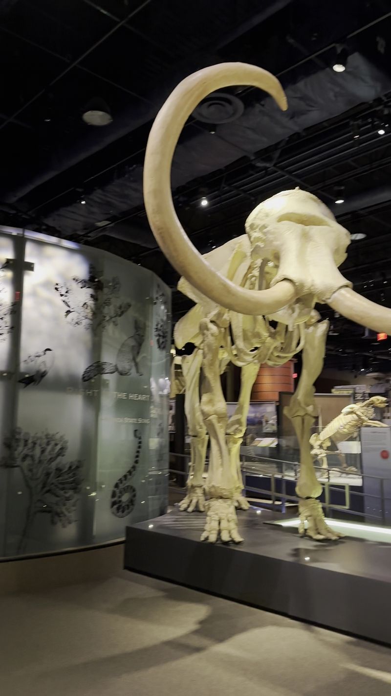 Fossils and Giants Under One Roof Fossils and Giants Under One Roof