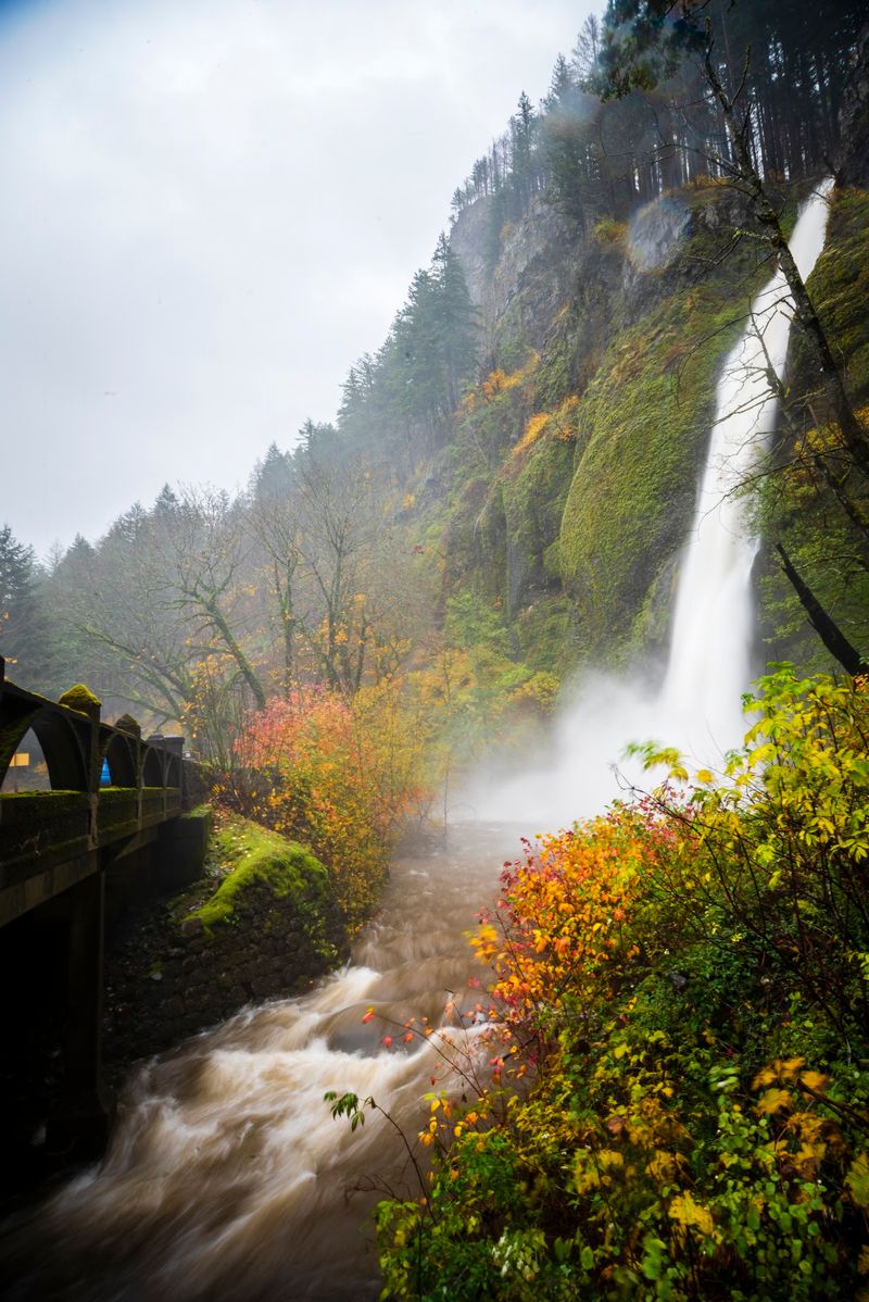 Four Seasons, Four Different Falls