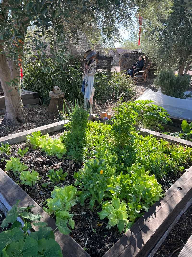 Four Thousand Years of Continuous Farming