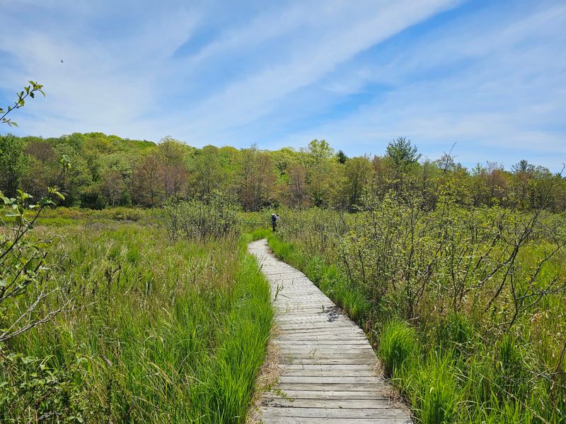 Fourteen Trails For Every Season