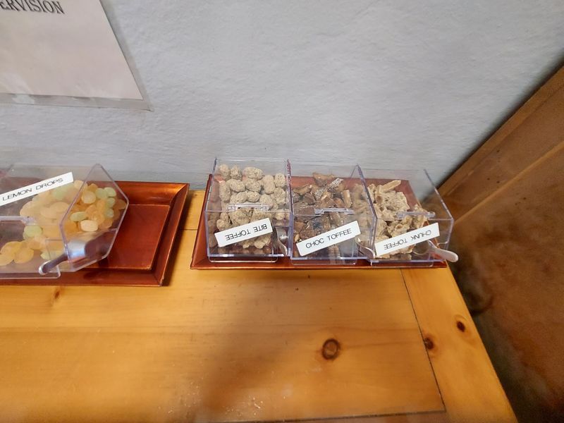 Free Samples Before You Commit