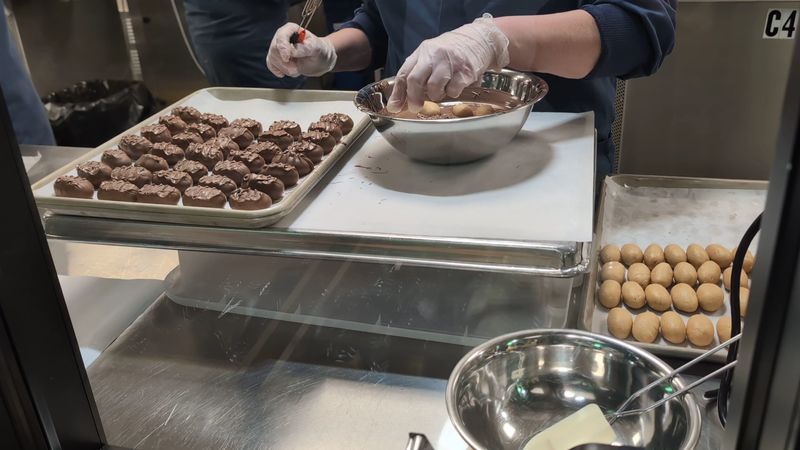 Free Samples Of The Famous Buds Free Samples Of The Famous Buds