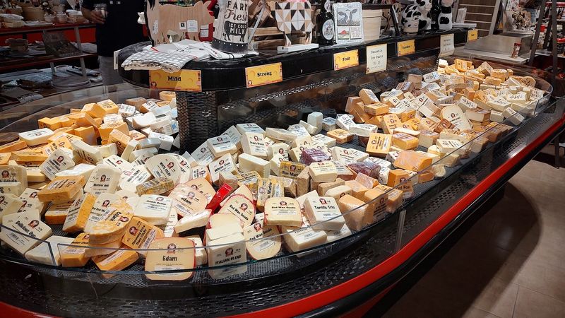 Free Samples Steal The Show Free Samples Steal The Show