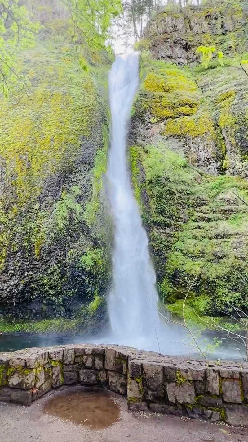 Front-Row Views Without the Hike