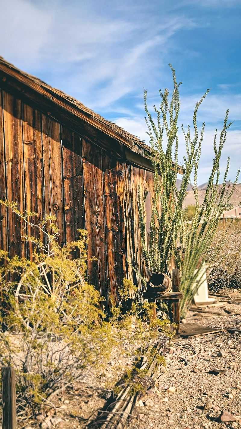 Frontier Houses That Tell Their Own Stories