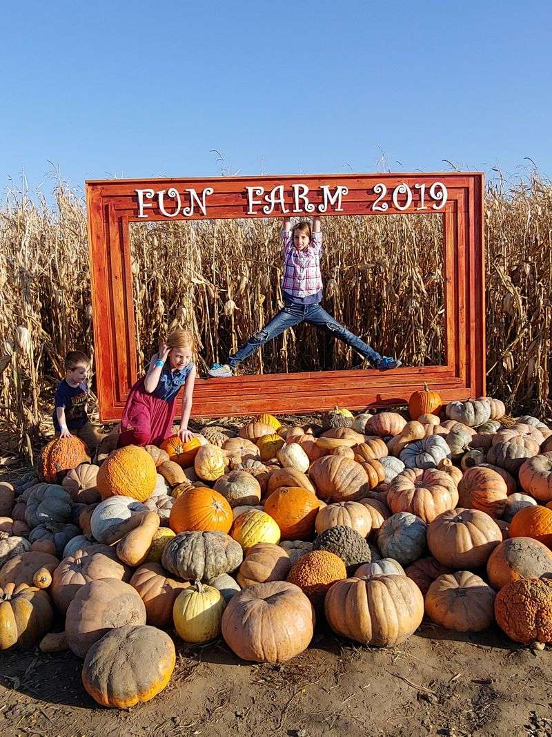 Fun Farm Pumpkin Patch, Kearney, MO