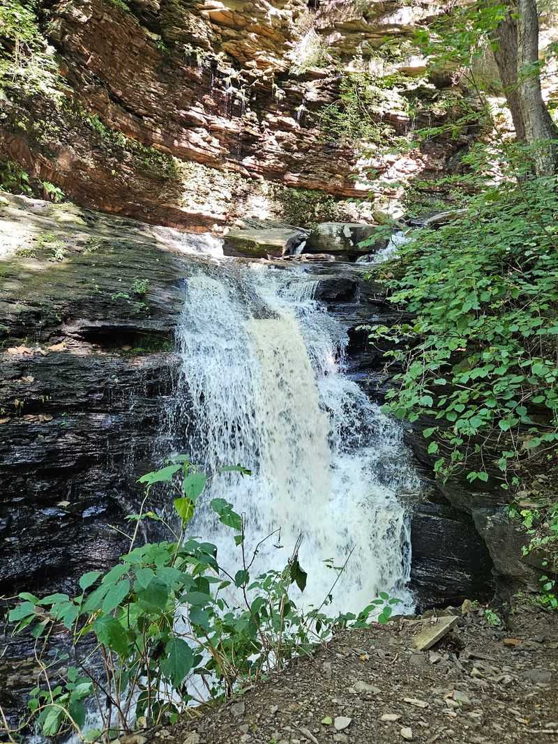 Ganoga Falls, The Towering Standout