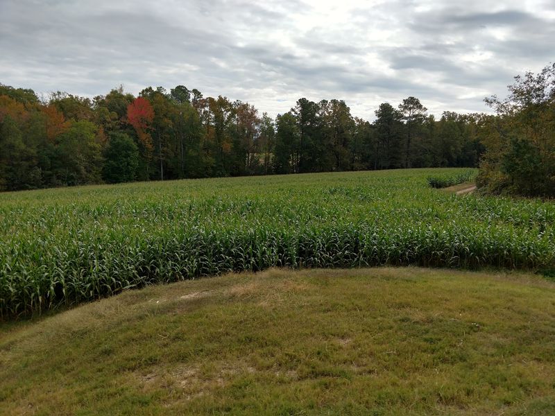 Ganyard Hill Farm, Durham, North Carolina Ganyard Hill Farm, Durham, North Carolina