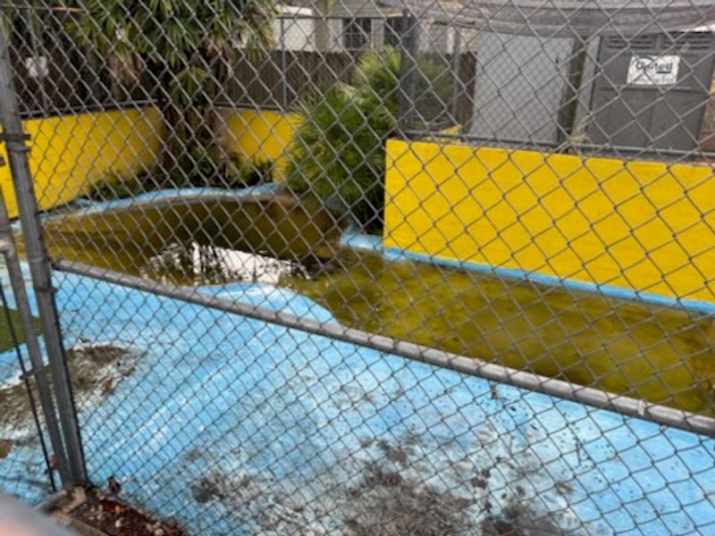 Gators Wild and Rescued Gators Wild and Rescued
