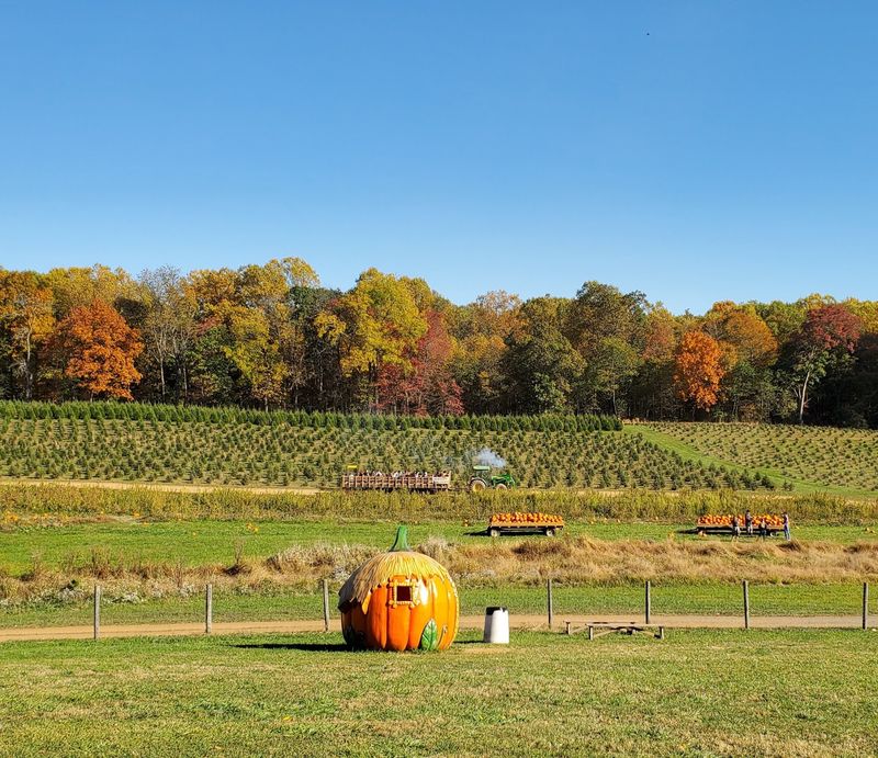 Gaver Farm, Mt Airy, MD