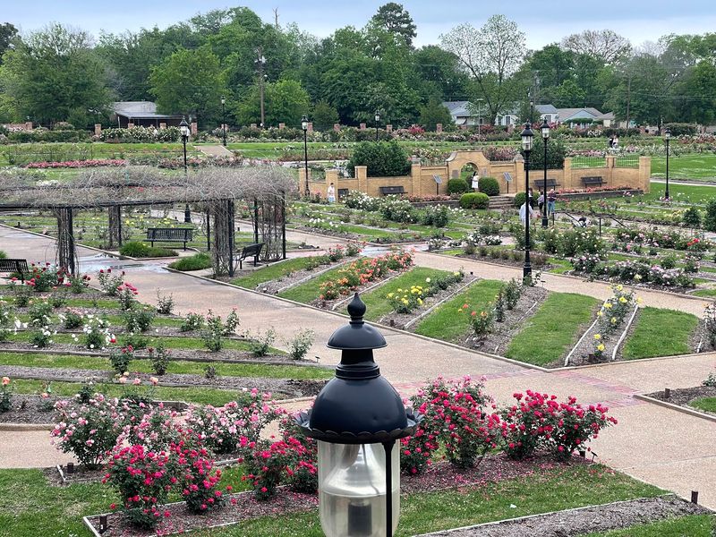 Gazebos, Proposals and Photo Days