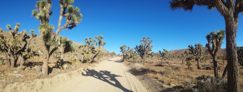 Getting There and Finding Your Way