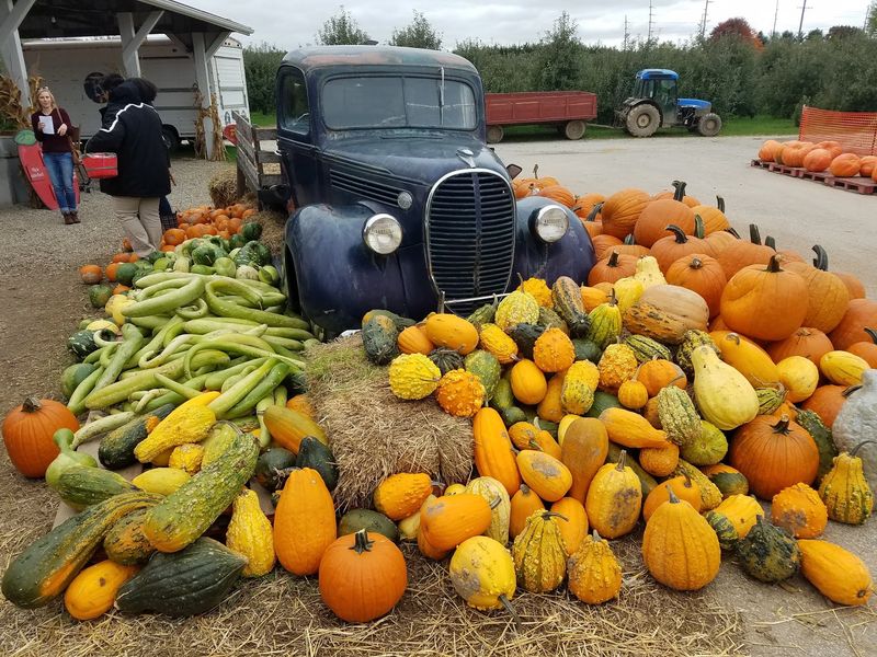 Giants, Gourds, and Growing Ambitions