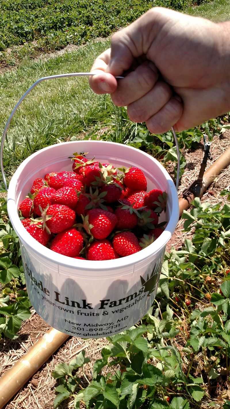 Glade Link Farms, Keymar, MD