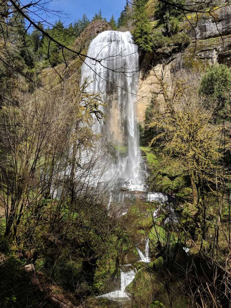 Golden Falls, the Grand Finale