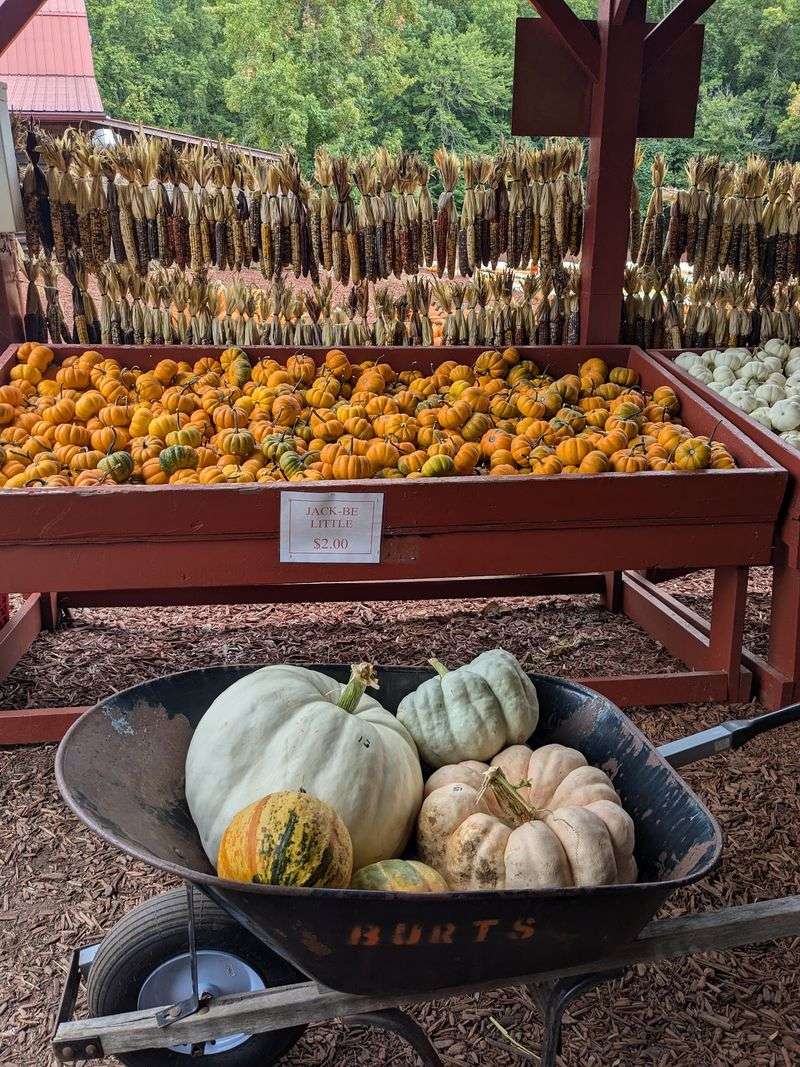 Grab A Wheelbarrow And Load It Up Grab A Wheelbarrow And Load It Up