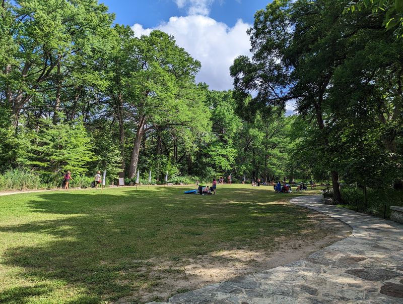 Grassy Lawns Made For Lounging