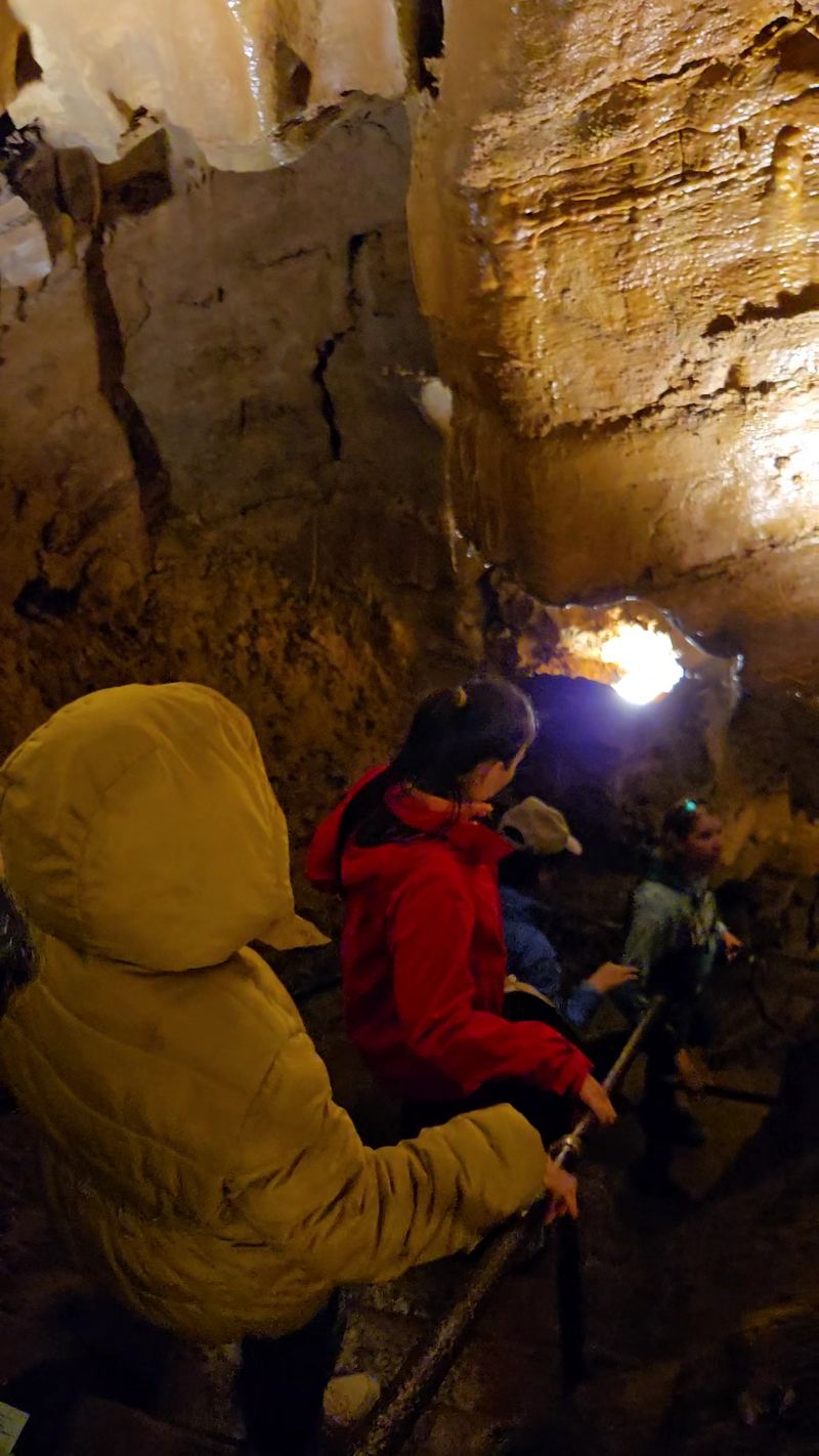 Guides Who Turn Rocks Into Stories