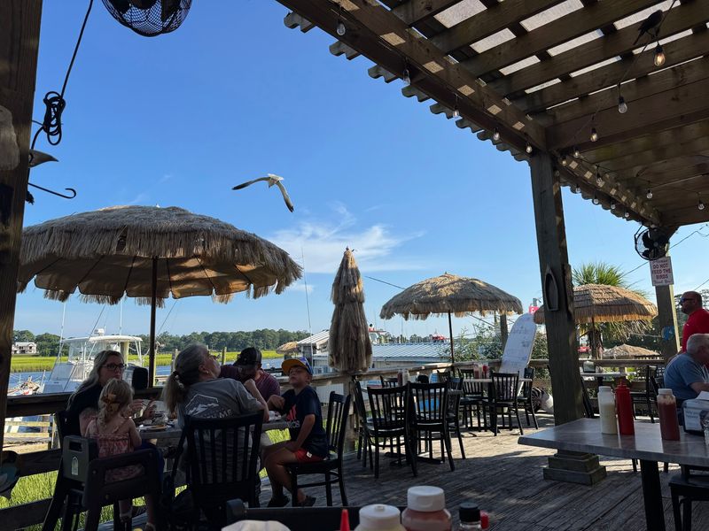Half a Century of Frying on the River