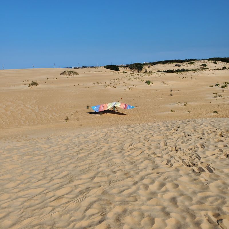 Hang Gliders and Sandboarders Hang Gliders and Sandboarders