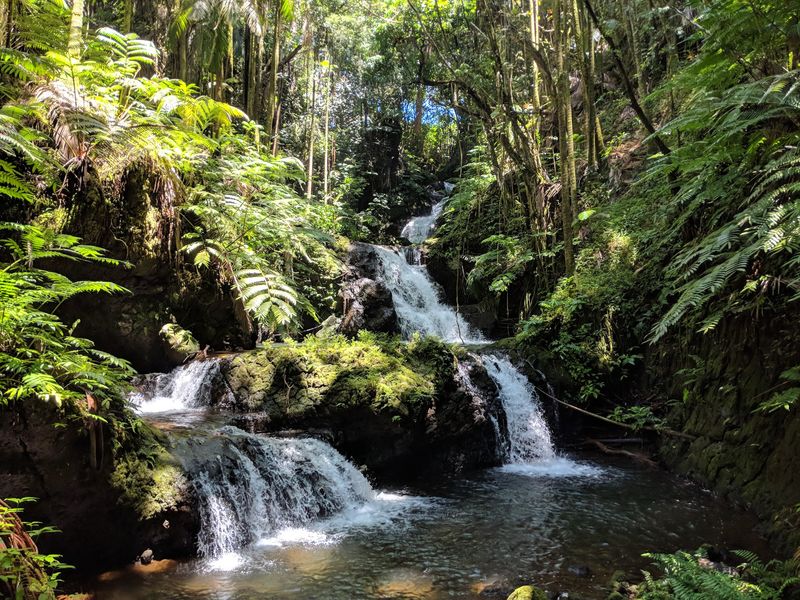 Hawaii Tropical Bioreserve and Garden, Papaikou, Hawaii Island