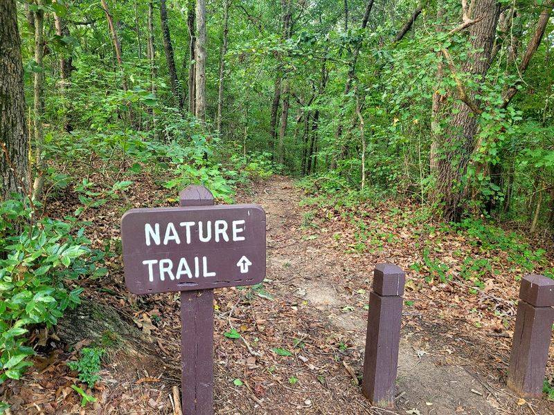 Hidden Paths Like Kingfisher And Angler Trails