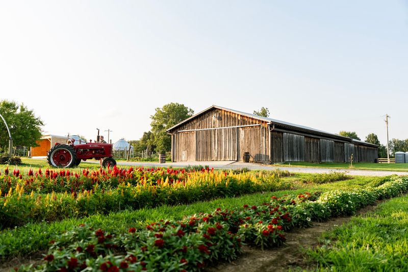 Hidden Valley Orchards, Lebanon, OH