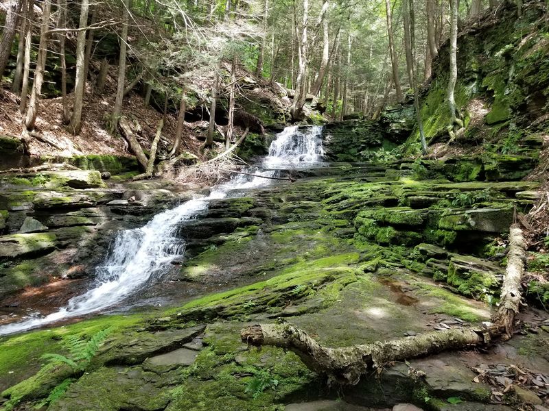 Hidden Waterfalls In The North Hidden Waterfalls In The North