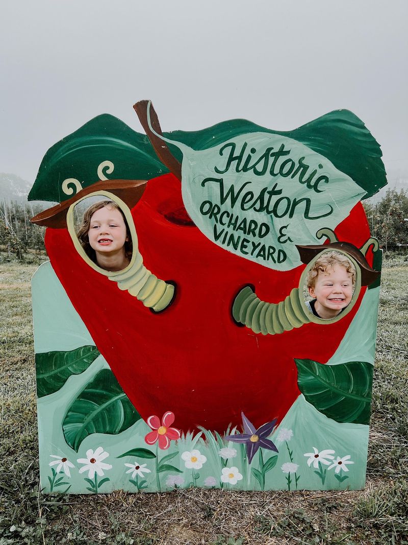 Historic Weston Orchard & Vineyard, Weston, MO Historic Weston Orchard & Vineyard, Weston, MO