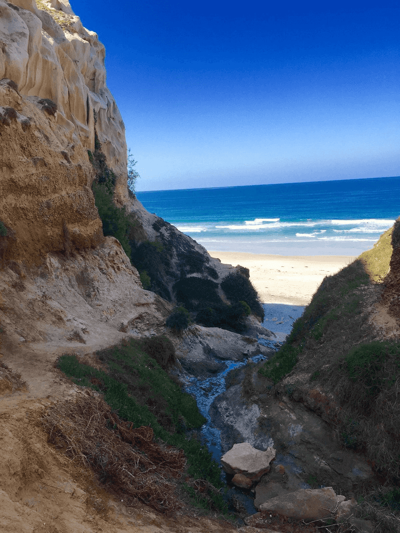 Ho Chi Minh Trail to Black's Beach Overlook, La Jolla