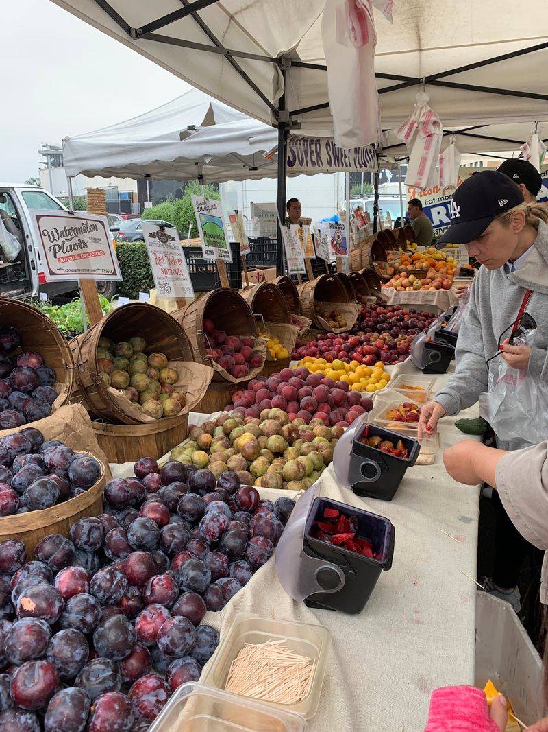 Hollywood Farmers' Market, Los Angeles, CA Hollywood Farmers' Market, Los Angeles, CA