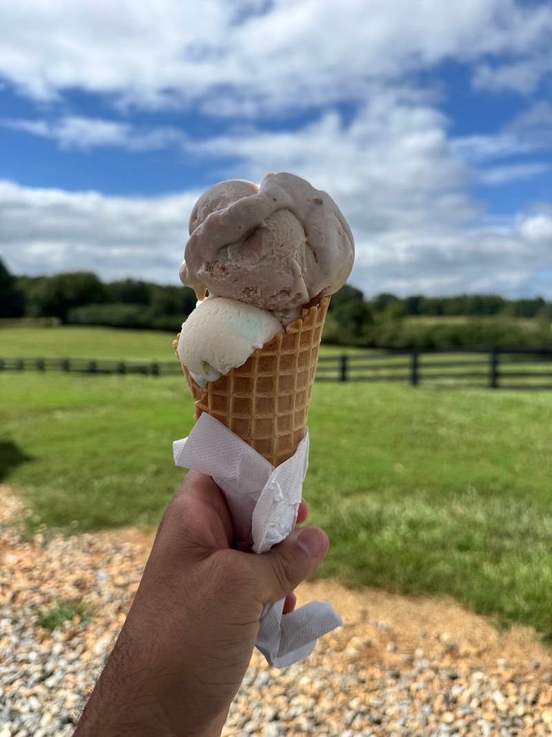 Homemade Ice Cream That Tastes Like a Memory