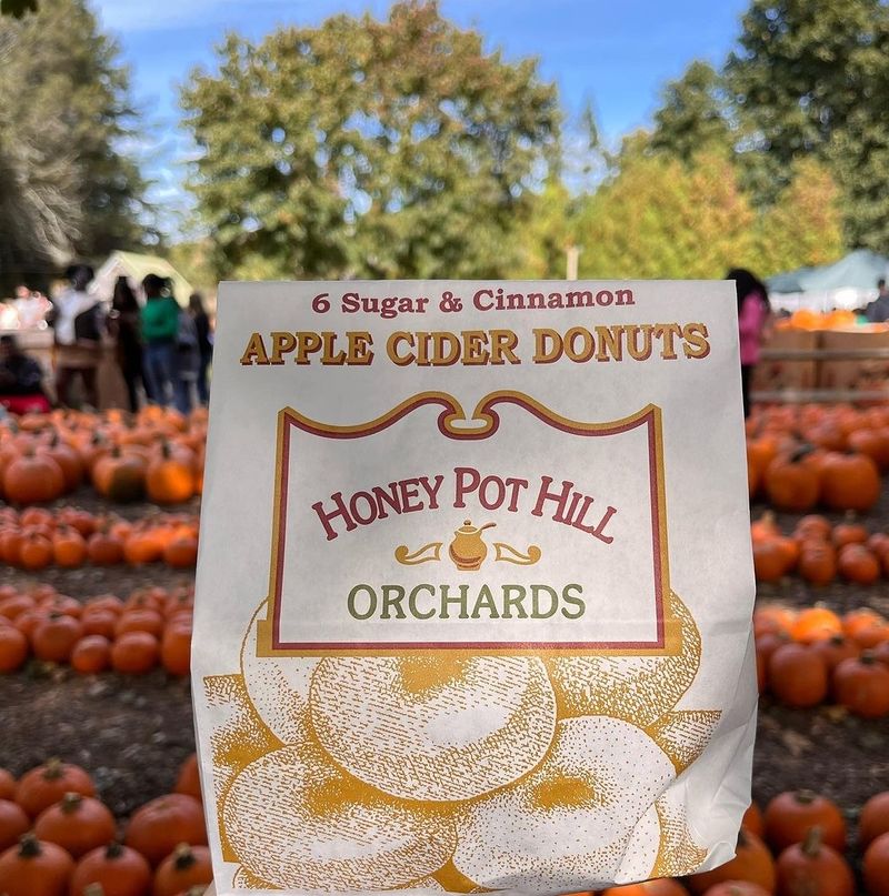 Honey Pot Hill Orchards, Stow, MA
